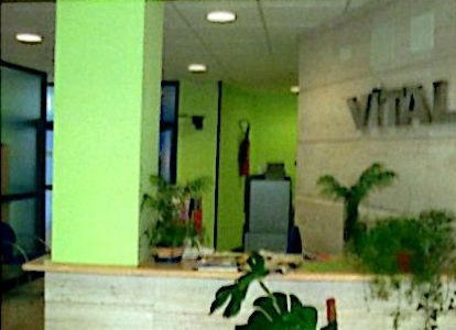 vitaldent